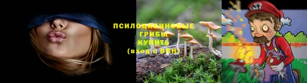 Альфа ПВП Алзамай
