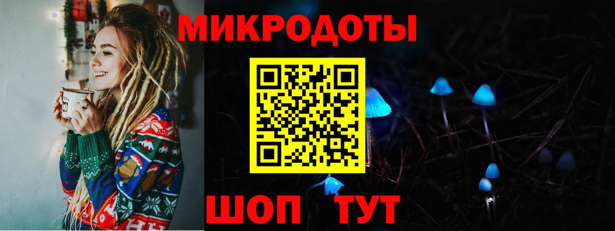 Галлюциногенные грибы Psilocybe  Вход с VPN  Тосно 