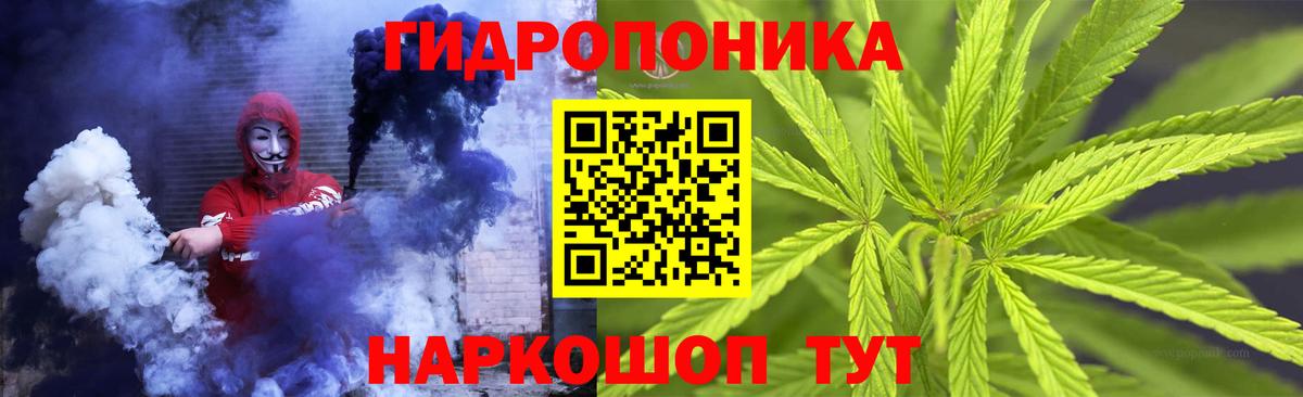 Шишки марихуана OG Kush Тосно